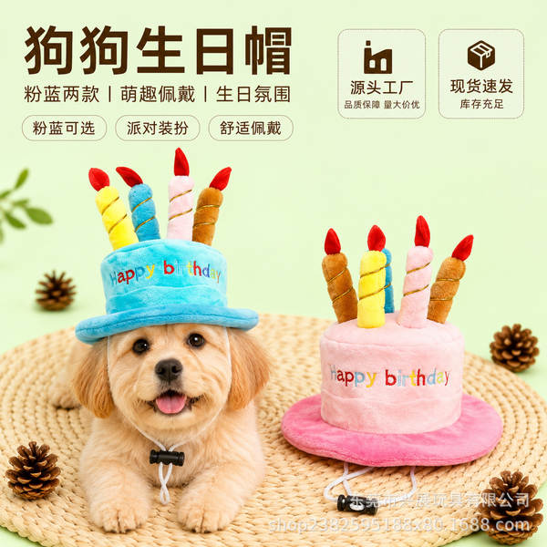 Chapéu de Aniversário para Cachorro