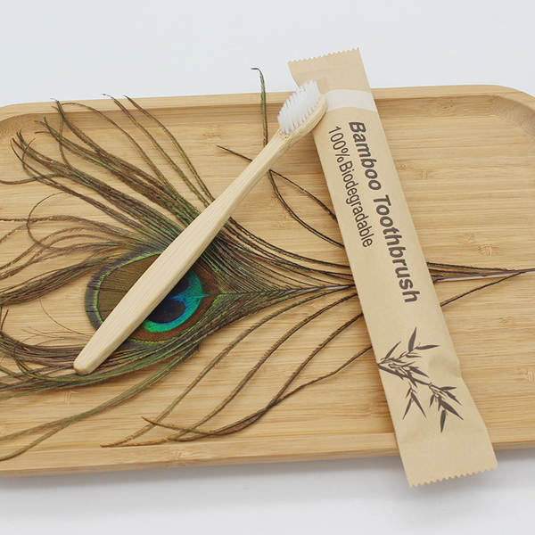 Escova de dente de bambu
