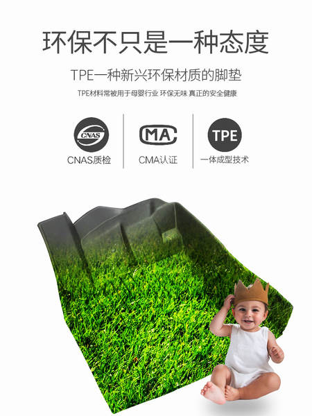 Adaptado para o BDI E2/3/5 General Tpe Automotive Footpad e2e3e5 nova reforma de energia