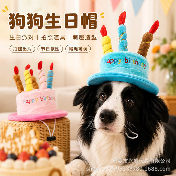 Chapéu de Aniversário para Cachorro