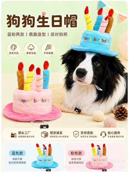 Chapéu de Aniversário para Cachorro