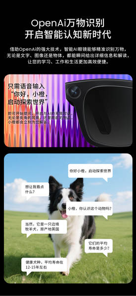 Novo translator de inteligência artificial de 800 W com óculos inteligentes Bluetooth com câmera para gravação de vídeo transfronteiriço