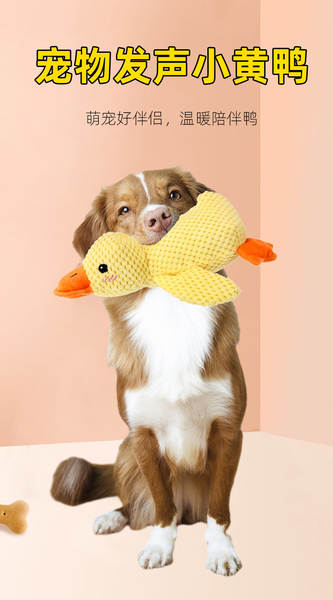 Pato de Pelúcia para Cachorro