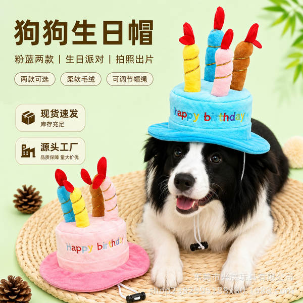 Chapéu de Aniversário para Cachorro