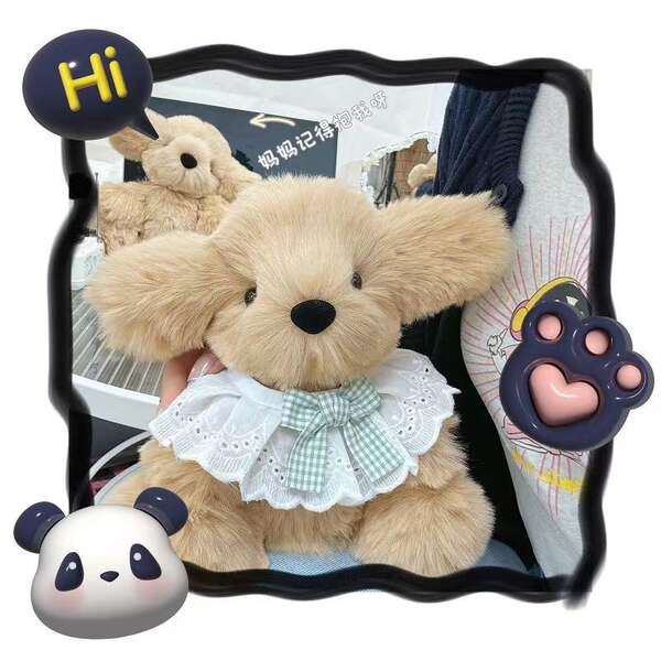 DIY artesanato caseiro criativo bonito cachorro dourado gravar boneca de pelúcia material saco de cachorro de pelúcia de cachorro presente