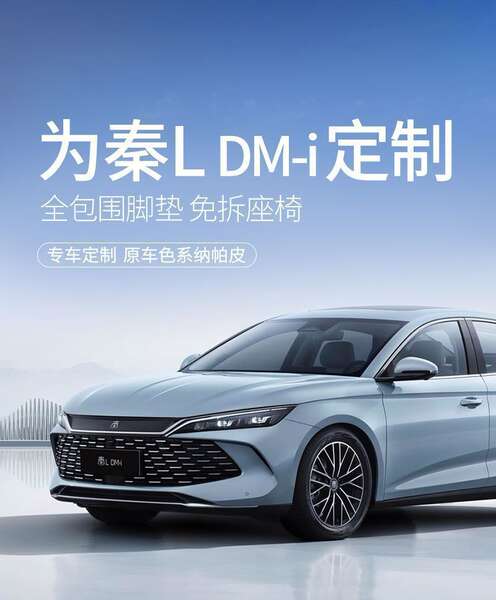 Aplicável a BDI Qin L colchão de pernas coberto de pernas ldmi carro limiar conjunto completo de pernas 2024 24 novos