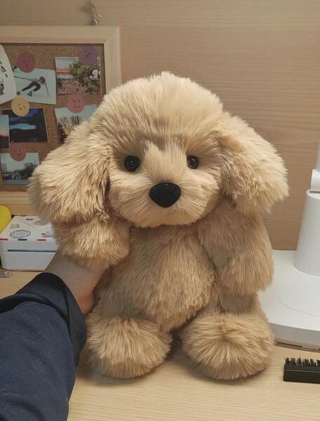 DIY artesanato caseiro criativo bonito cachorro dourado gravar boneca de pelúcia material saco de cachorro de pelúcia de cachorro presente