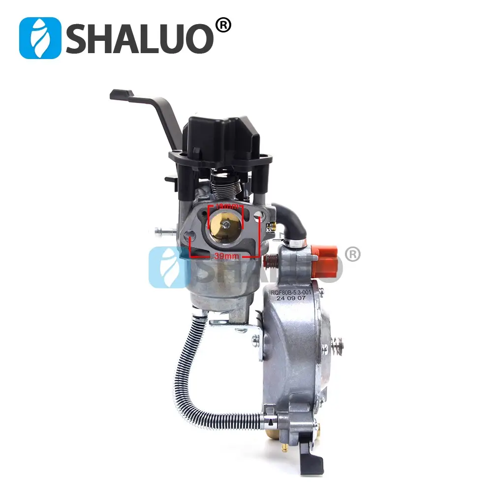 P19B 168FB 170F 3KW 6.5HP Gerador de gasolina P19B-LPG