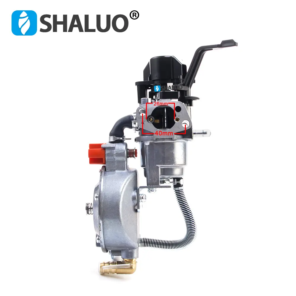 P19B 168FB 170F 3KW 6.5HP Gerador de gasolina P19B-LPG