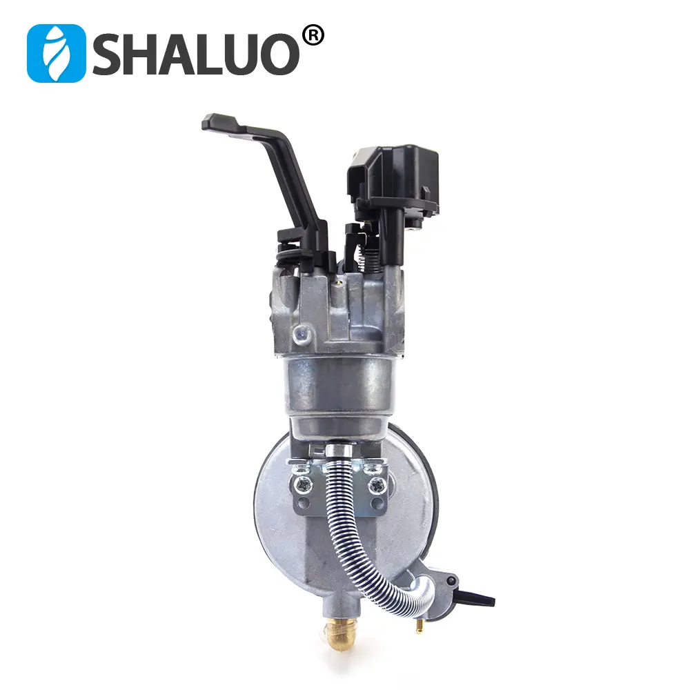 P19B 168FB 170F 3KW 6.5HP Gerador de gasolina P19B-LPG