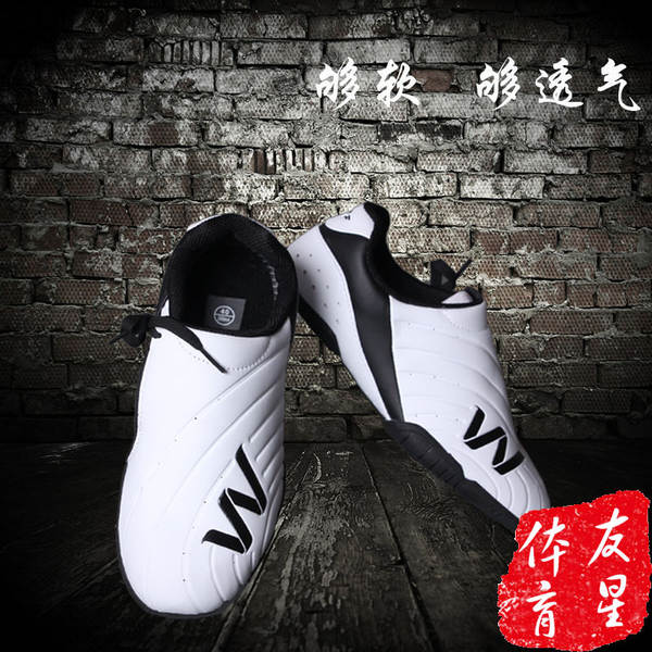 Sapatos de Treino de Taekwondo