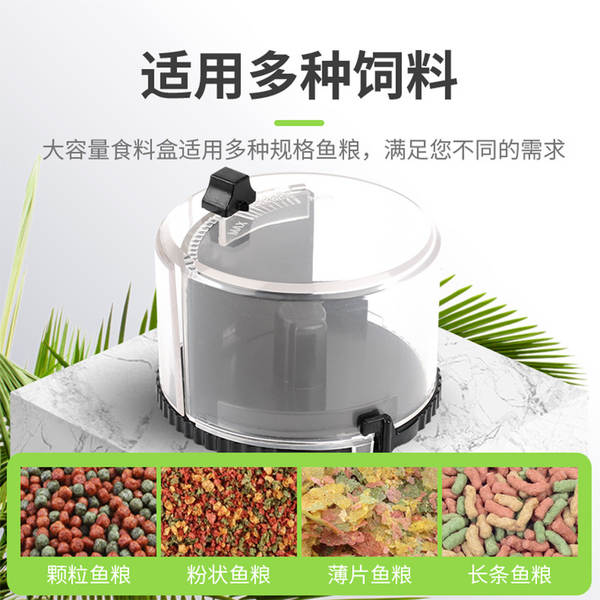 Alimentador Automático de Peixes