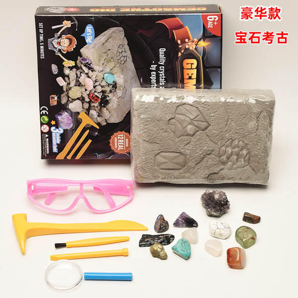 Kit de Montagem de Esqueleto de Dinossauro