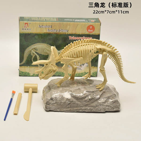 Kit de Montagem de Esqueleto de Dinossauro