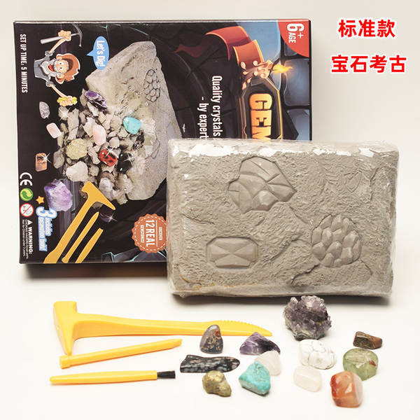 Kit de Montagem de Esqueleto de Dinossauro