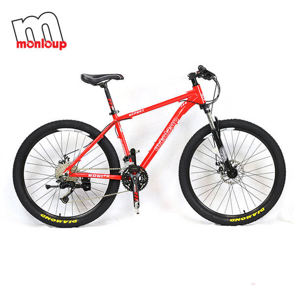 Bicicleta de Montanha