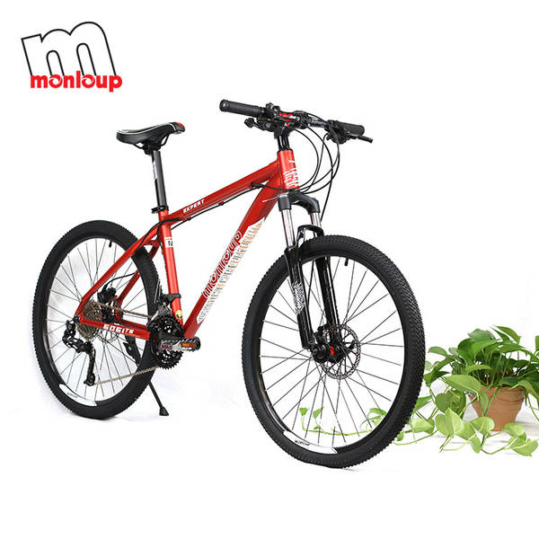 Bicicleta de Montanha