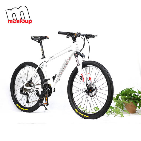 Bicicleta de Montanha
