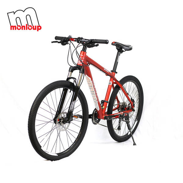 Bicicleta de Montanha