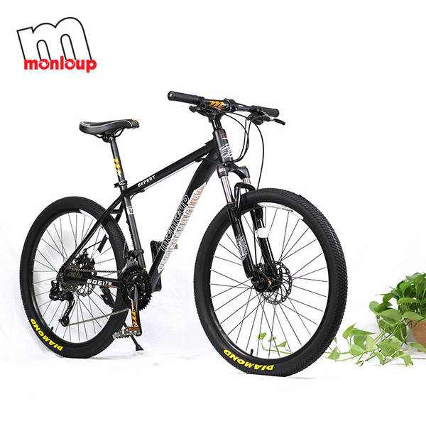 Bicicleta de Montanha