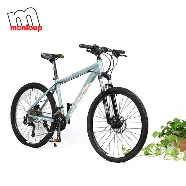 Bicicleta de Montanha