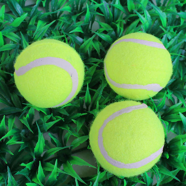 Bola de Borracha para Cachorro