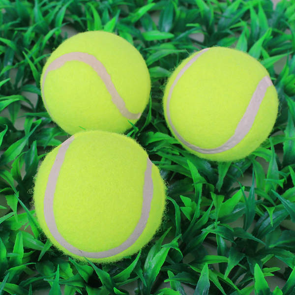 Bola de Borracha para Cachorro