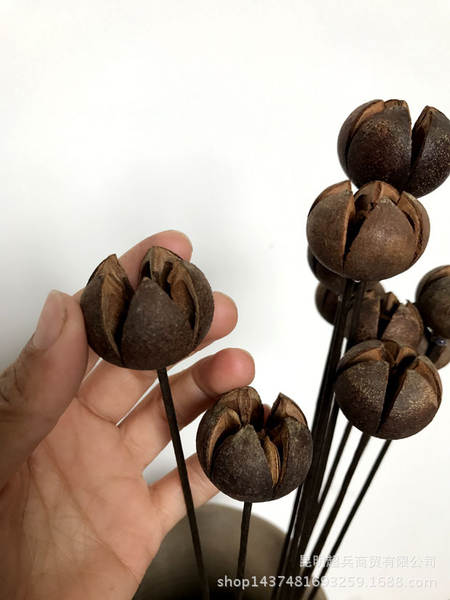 Combinação de flores secas com a alegria da cruz