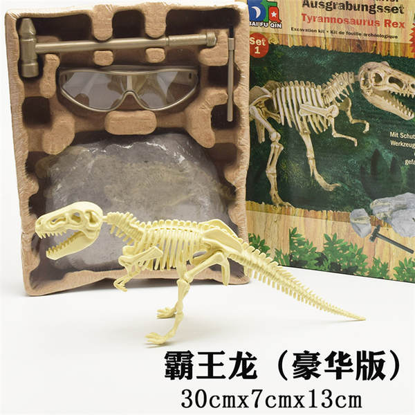 Kit de Montagem de Esqueleto de Dinossauro