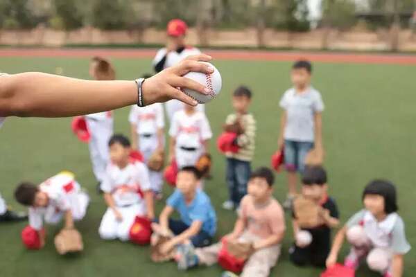 Bola de Beisebol de PU