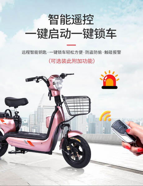 Bicicleta Elétrica para Adulto