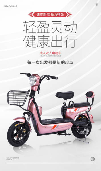 Bicicleta Elétrica para Adulto