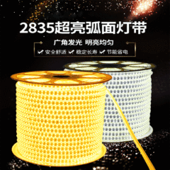 Luz de Led 220V para Teto