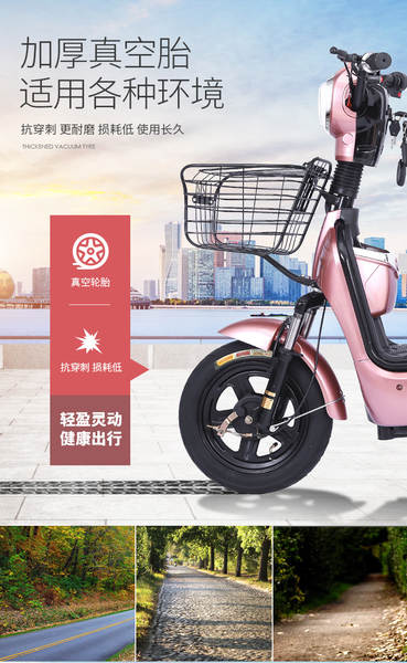 Bicicleta Elétrica para Adulto