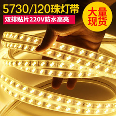 Luz de Led 220V para Teto