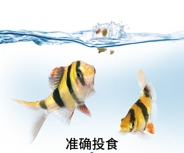 Alimentador de peixes alemão de perfuração preta Alimentador de peixes automático de grande capacidade Alimentador de tempo inteligente pode aumentar a alimentação do depósito