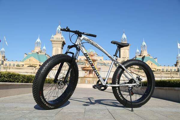 Carro de neve de bronze 4.0 ampliado com pneus grandes para ciclismo de montanha de 26 polegadas com dois discos para frear a estrada de praia