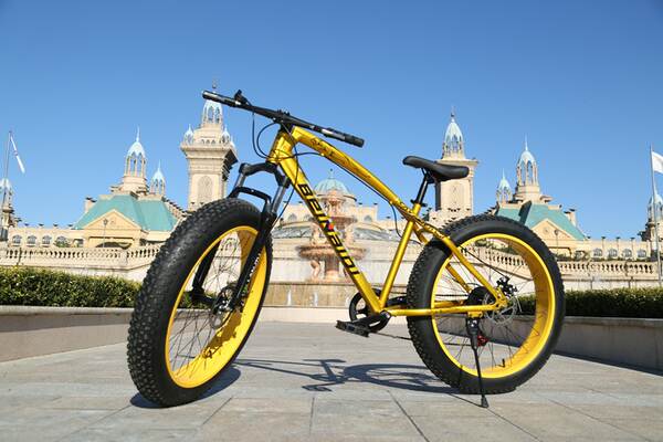 Carro de neve de bronze 4.0 ampliado com pneus grandes para ciclismo de montanha de 26 polegadas com dois discos para frear a estrada de praia