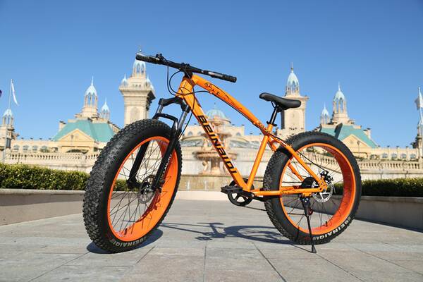 Carro de neve de bronze 4.0 ampliado com pneus grandes para ciclismo de montanha de 26 polegadas com dois discos para frear a estrada de praia