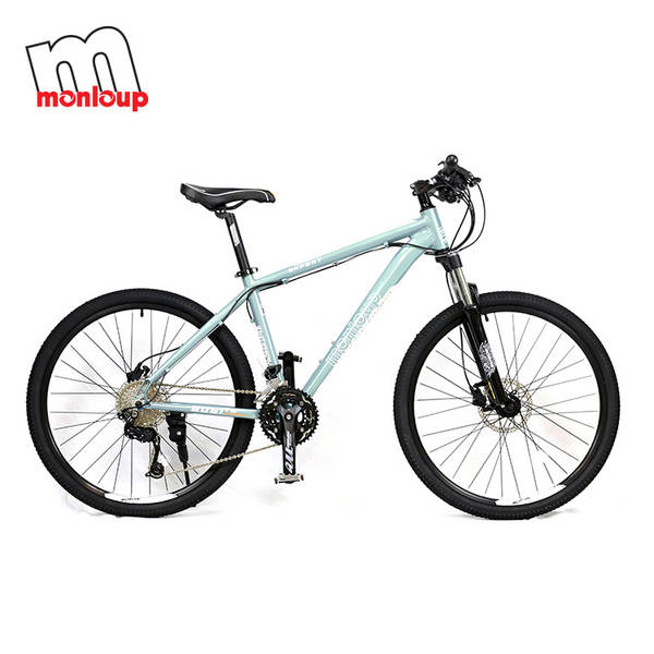 Bicicleta de Montanha