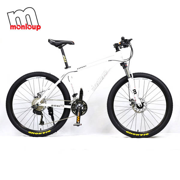 Bicicleta de Montanha
