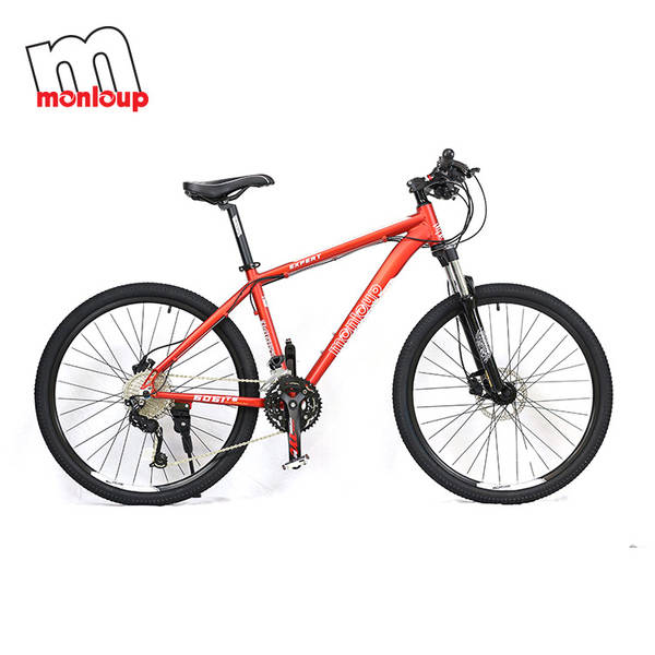 Bicicleta de Montanha