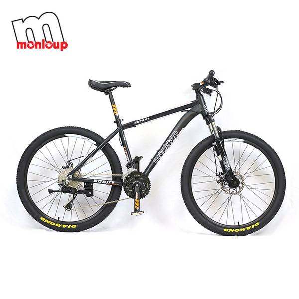 Bicicleta de Montanha