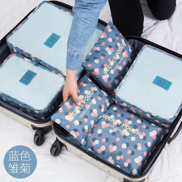 Conjunto de Organizadores de Viagem