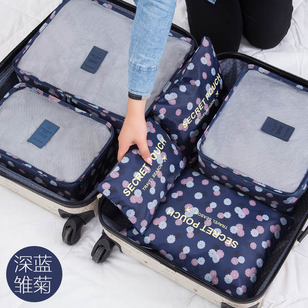 Conjunto de Organizadores de Viagem