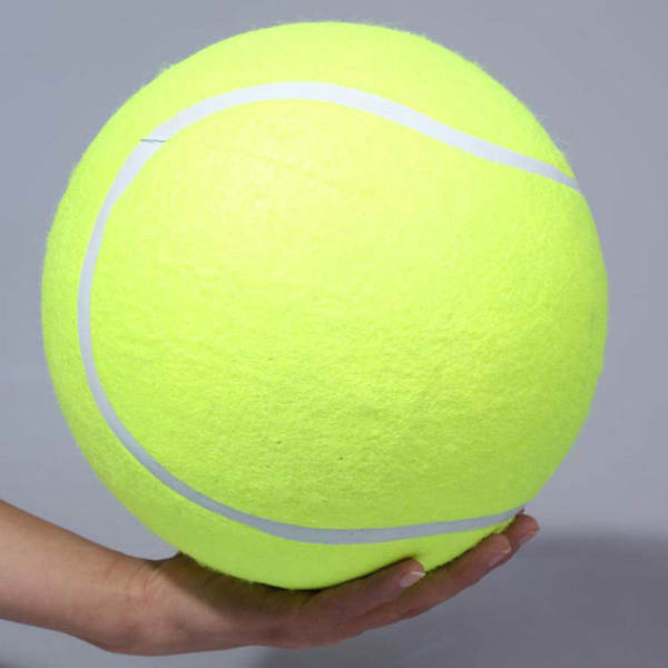 Grande assinatura Ténis 24cm Ténis de ar Atividades Presentes Brinquedos de animais de estimação 9,5 polegadas Bola de animais de estimação Mordendo brinquedos