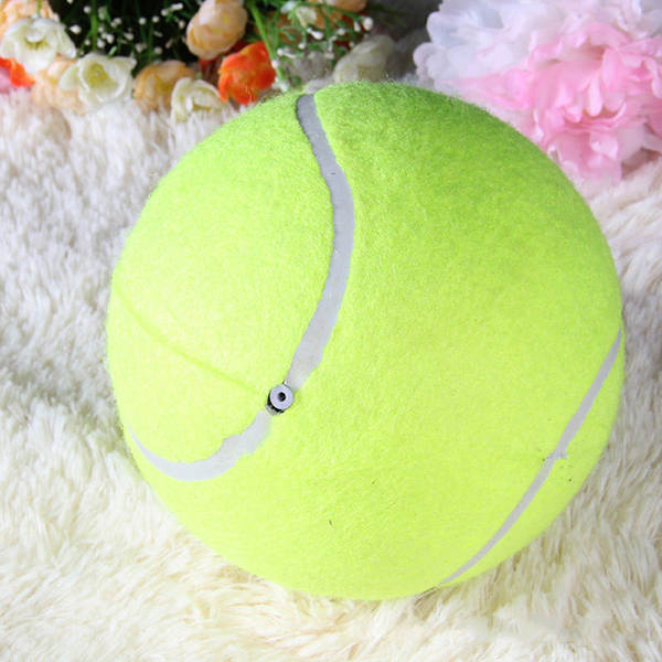Grande assinatura Ténis 24cm Ténis de ar Atividades Presentes Brinquedos de animais de estimação 9,5 polegadas Bola de animais de estimação Mordendo brinquedos