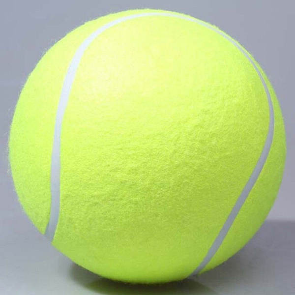 Grande assinatura Ténis 24cm Ténis de ar Atividades Presentes Brinquedos de animais de estimação 9,5 polegadas Bola de animais de estimação Mordendo brinquedos