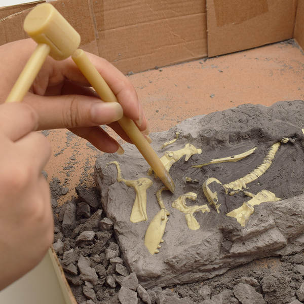 Kit de Montagem de Esqueleto de Dinossauro
