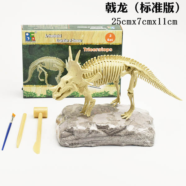 Kit de Montagem de Esqueleto de Dinossauro